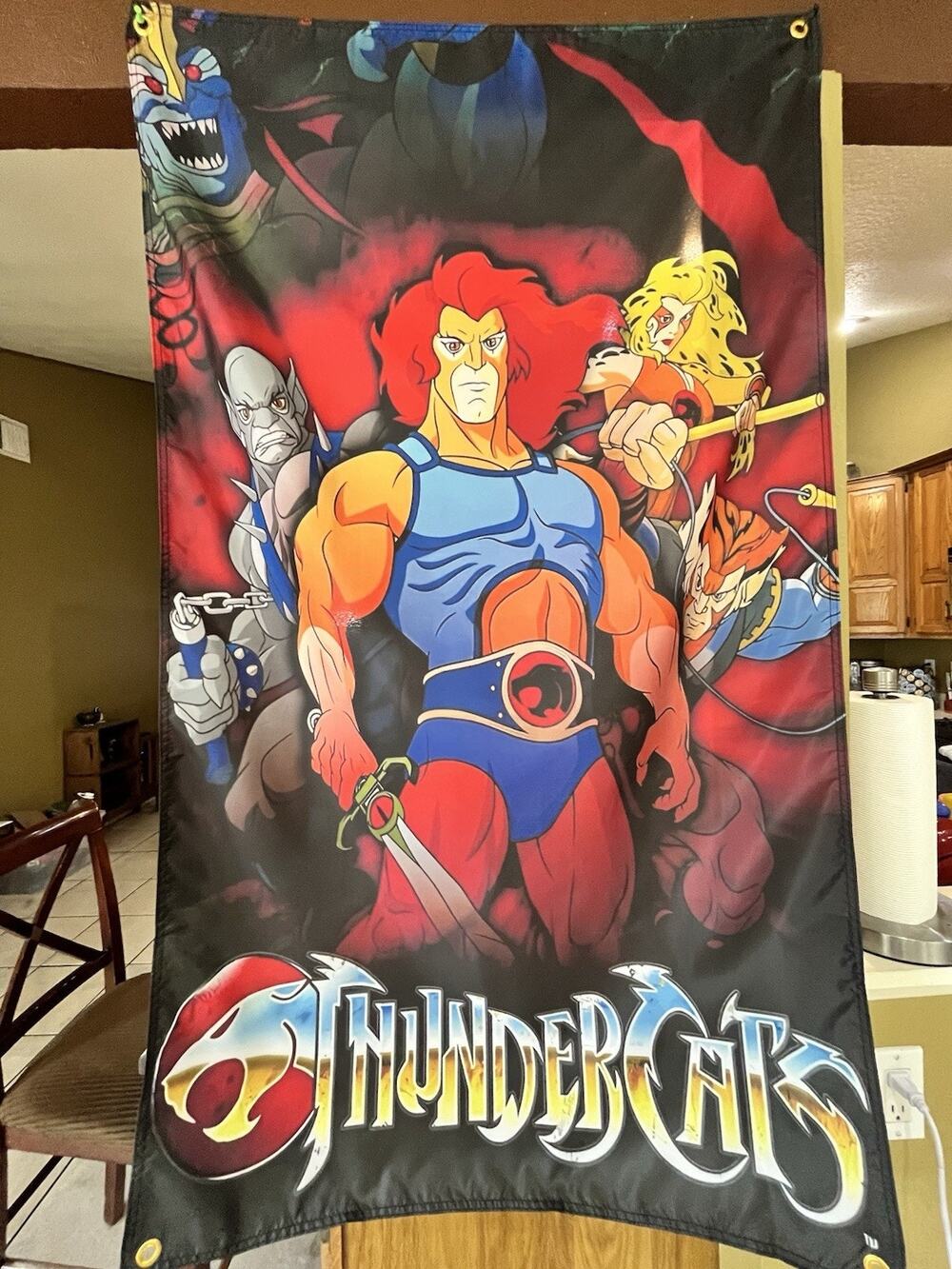 Thundercats 5ft Flag Lion-O Cheetara Poster Banner 1985 Eye of Thundera LJN
